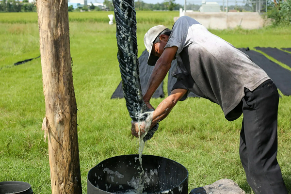 lụa lãnh mỹ a tân châu