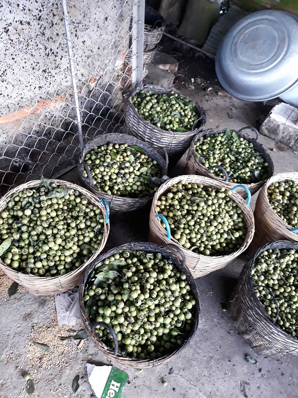 vải lụa lãnh mỹ a