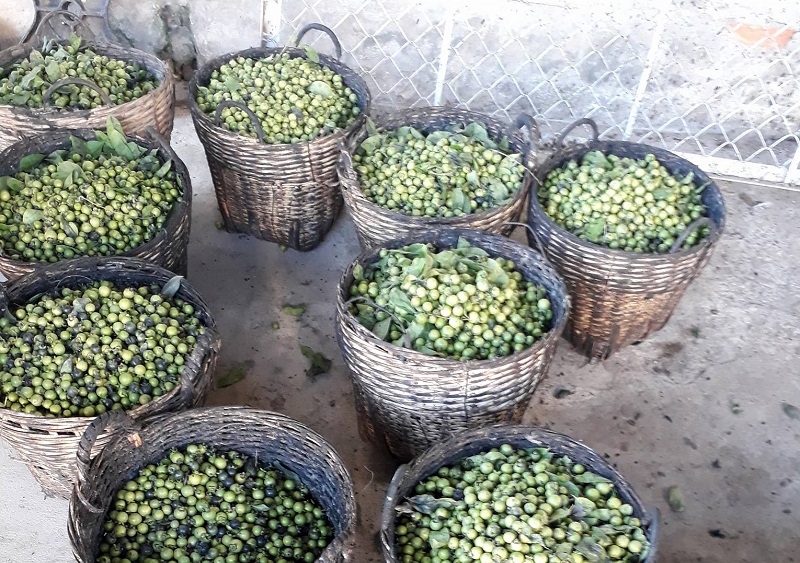 vải lụa lãnh mỹ a